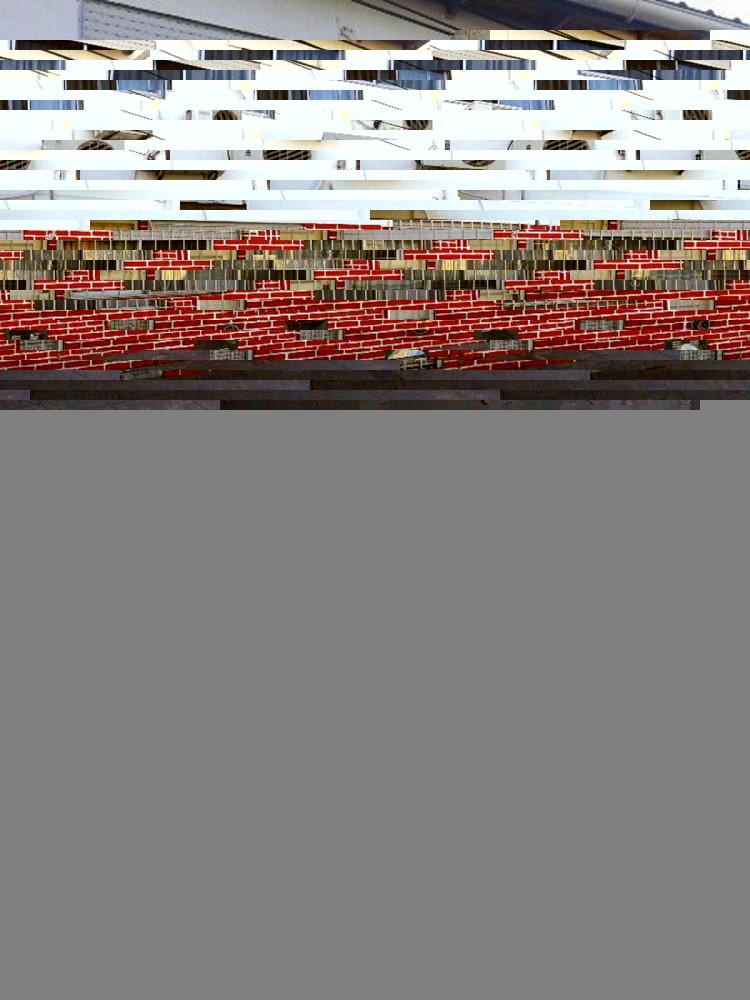 2 Schlafzimmer Haus in Lanus, Argentina, Nr. 8968