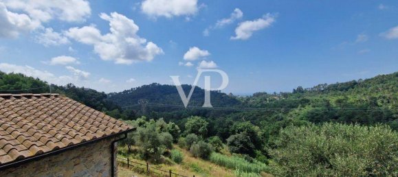 Вилла с 14 комнатами в Камайоре, Италия № 31646 11