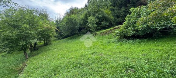 17000m² Land in Vittorio Veneto, Italy No. 264044 14