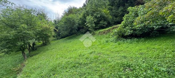 17000m² Land in Vittorio Veneto, Italy No. 264044 11