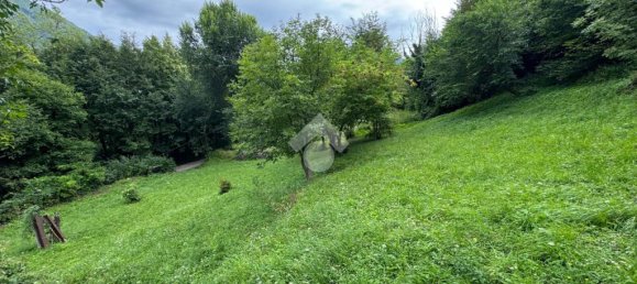 17000m² Land in Vittorio Veneto, Italy No. 264044 3