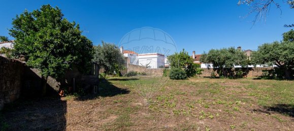 6 Schlafzimmer Haus in Lardosa, Portugal, Nr. 181387 43