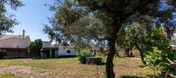6 Schlafzimmer Haus in Lardosa, Portugal, Nr. 181387 20