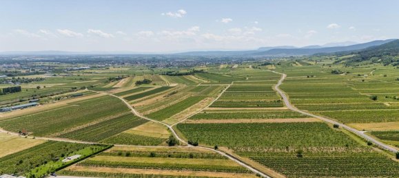 6-salle Maison à Gumpoldskirchen, Austria No. 149378 8