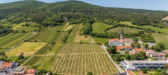 6-salle Maison à Gumpoldskirchen, Austria No. 149378 6