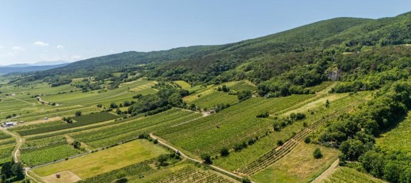 6-salle Maison à Gumpoldskirchen, Austria No. 149378 7