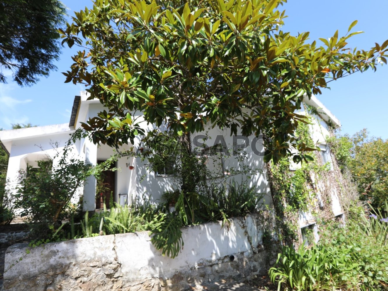3 chambres Maison à Sintra, Portugal No. 227664