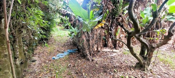 5 bedrooms Castles in Vila Franca do Campo, Portugal No. 33269 6