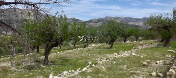 200m² Land in Callosa D'en Sarria, Spain No. 103326 12