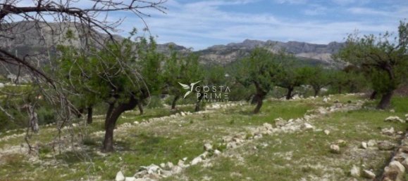 200m² Land in Callosa D'en Sarria, Spain No. 103326 5