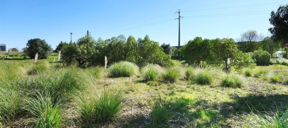 Terrain à Sintra, Portugal 16688m² No. 94697 9