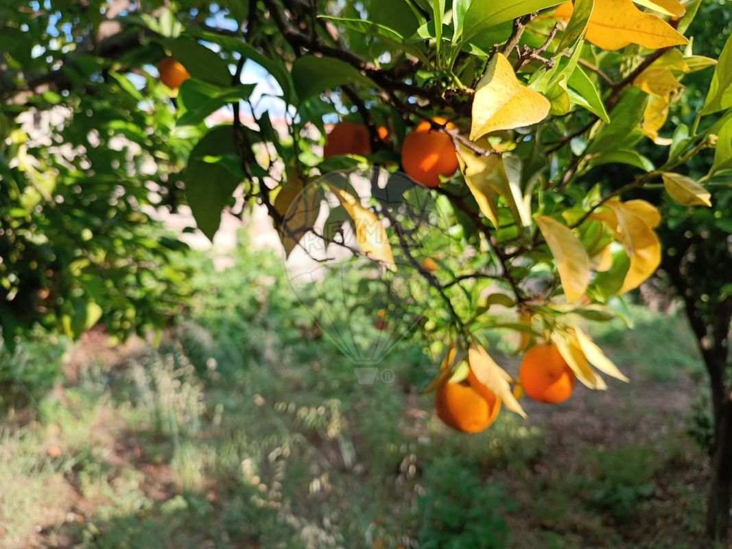 3 Schlafzimmer Haus in Bendada, Portugal, Nr. 29090