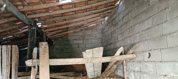 3 Schlafzimmer Haus in Bendada, Portugal, Nr. 29090 4