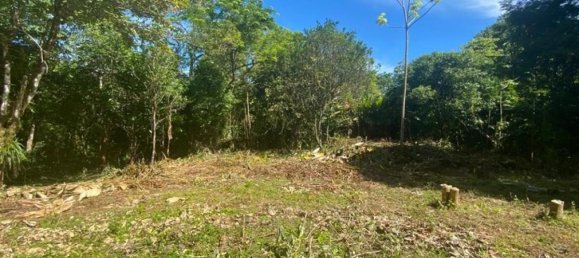  قطعة أرض في Puerto Jimenez, Costa Rica رقم 1740 6