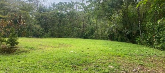  قطعة أرض في Puerto Jimenez, Costa Rica رقم 1740 2