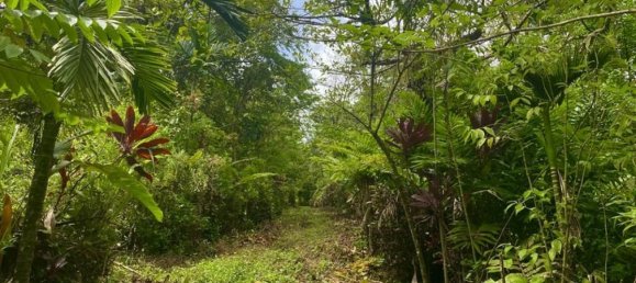  قطعة أرض في Puerto Jimenez, Costa Rica رقم 1740 3