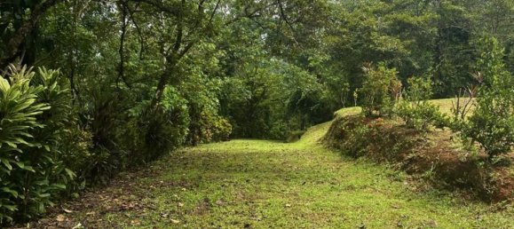  قطعة أرض في Puerto Jimenez, Costa Rica رقم 1740 4