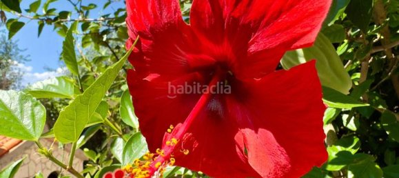 2 bedrooms Apartment in Lloret de Mar, Spain No. 184328 35