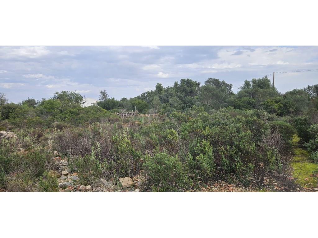 Terreno de 2 dormitorios en Tavira, Portugal No. 193774