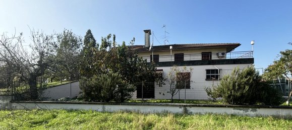 2غرفة شقة في Parma, Italy رقم 238216 2