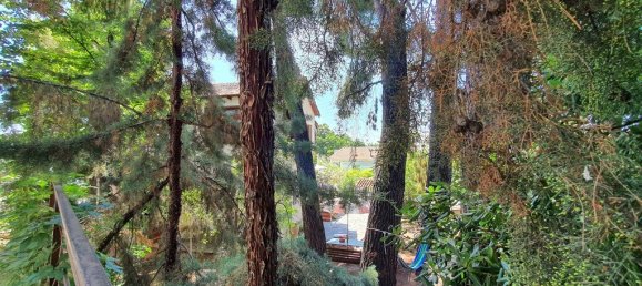 3 Schlafzimmer Gewerbliche Immobilien in Polygyros, Greece, Nr. 3901 10