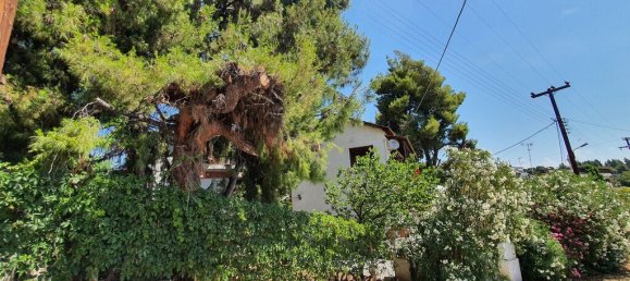 3 Schlafzimmer Gewerbliche Immobilie in Polygyros, Greece, Nr. 3901 9