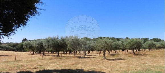 9 Schlafzimmer Haus in Proenca a Velha, Portugal, Nr. 62562 30