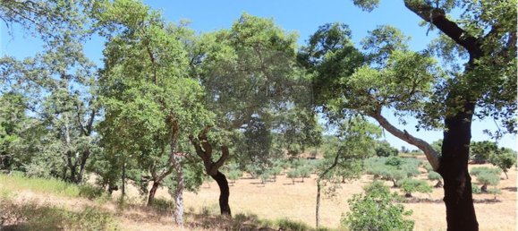 9 Schlafzimmer Haus in Proenca a Velha, Portugal, Nr. 62562 44