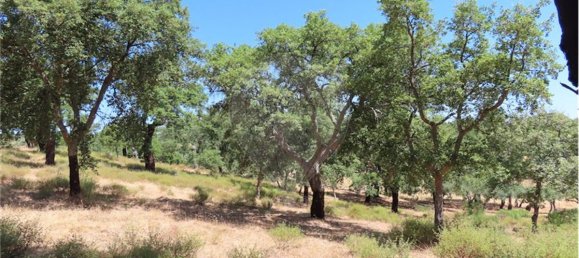 9 Schlafzimmer Haus in Proenca a Velha, Portugal, Nr. 62562 46