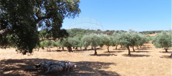 9 Schlafzimmer Haus in Proenca a Velha, Portugal, Nr. 62562 26