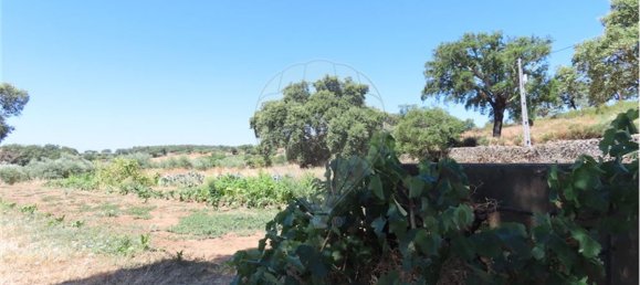 9 Schlafzimmer Haus in Proenca a Velha, Portugal, Nr. 62562 18