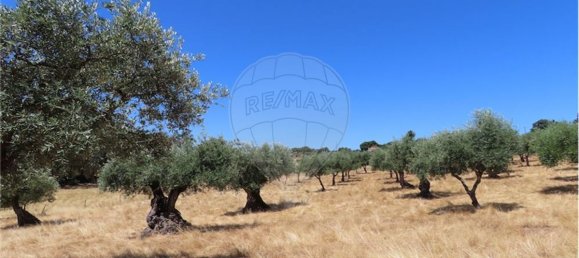 9 Schlafzimmer Haus in Proenca a Velha, Portugal, Nr. 62562 49