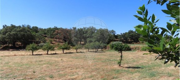 9 Schlafzimmer Haus in Proenca a Velha, Portugal, Nr. 62562 33