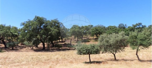 9 Schlafzimmer Haus in Proenca a Velha, Portugal, Nr. 62562 47