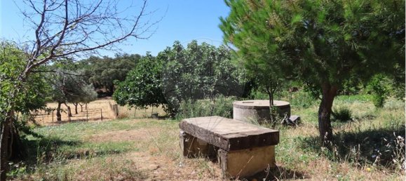 9 Schlafzimmer Haus in Proenca a Velha, Portugal, Nr. 62562 16