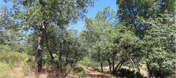 9 Schlafzimmer Haus in Proenca a Velha, Portugal, Nr. 62562 42