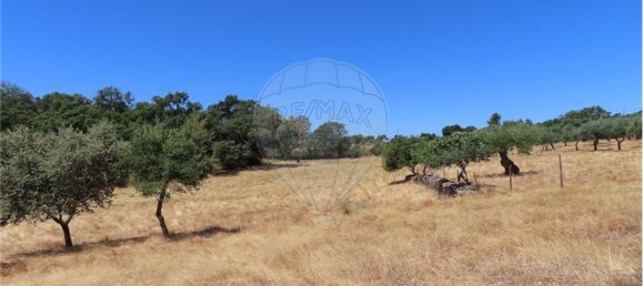 9 Schlafzimmer Haus in Proenca a Velha, Portugal, Nr. 62562 48