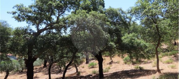 9 Schlafzimmer Haus in Proenca a Velha, Portugal, Nr. 62562 43