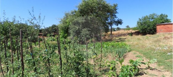 9 Schlafzimmer Haus in Proenca a Velha, Portugal, Nr. 62562 20