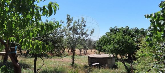 9 Schlafzimmer Haus in Proenca a Velha, Portugal, Nr. 62562 17