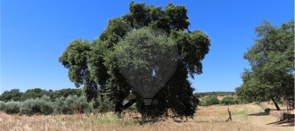 9 Schlafzimmer Haus in Proenca a Velha, Portugal, Nr. 62562 29