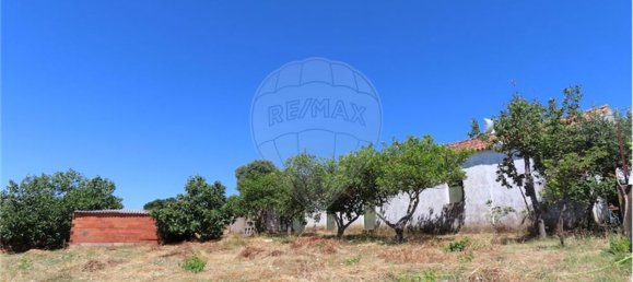 9 Schlafzimmer Haus in Proenca a Velha, Portugal, Nr. 62562 21