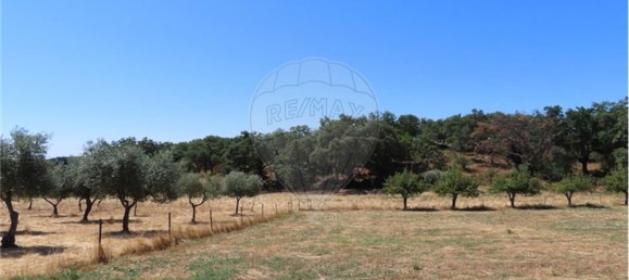 9 Schlafzimmer Haus in Proenca a Velha, Portugal, Nr. 62562 37