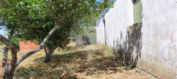 9 Schlafzimmer Haus in Proenca a Velha, Portugal, Nr. 62562 3