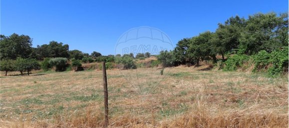 9 Schlafzimmer Haus in Proenca a Velha, Portugal, Nr. 62562 2