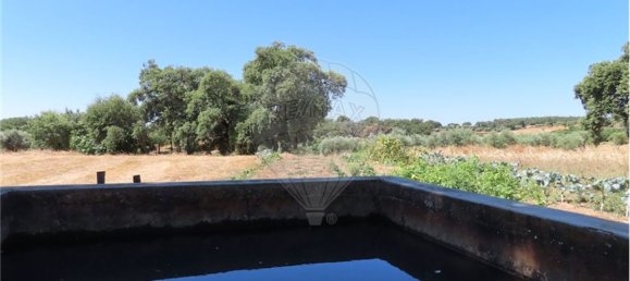 9 Schlafzimmer Haus in Proenca a Velha, Portugal, Nr. 62562 13