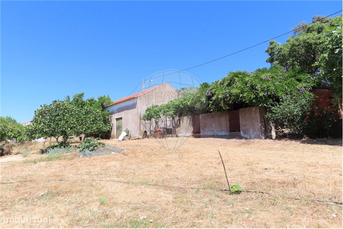 9 Schlafzimmer Haus in Proenca a Velha, Portugal, Nr. 62562