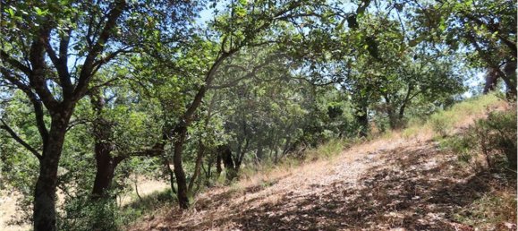 9 Schlafzimmer Haus in Proenca a Velha, Portugal, Nr. 62562 36