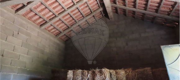 9 Schlafzimmer Haus in Proenca a Velha, Portugal, Nr. 62562 11