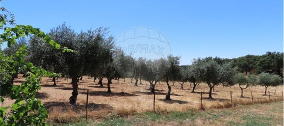 9 Schlafzimmer Haus in Proenca a Velha, Portugal, Nr. 62562 34